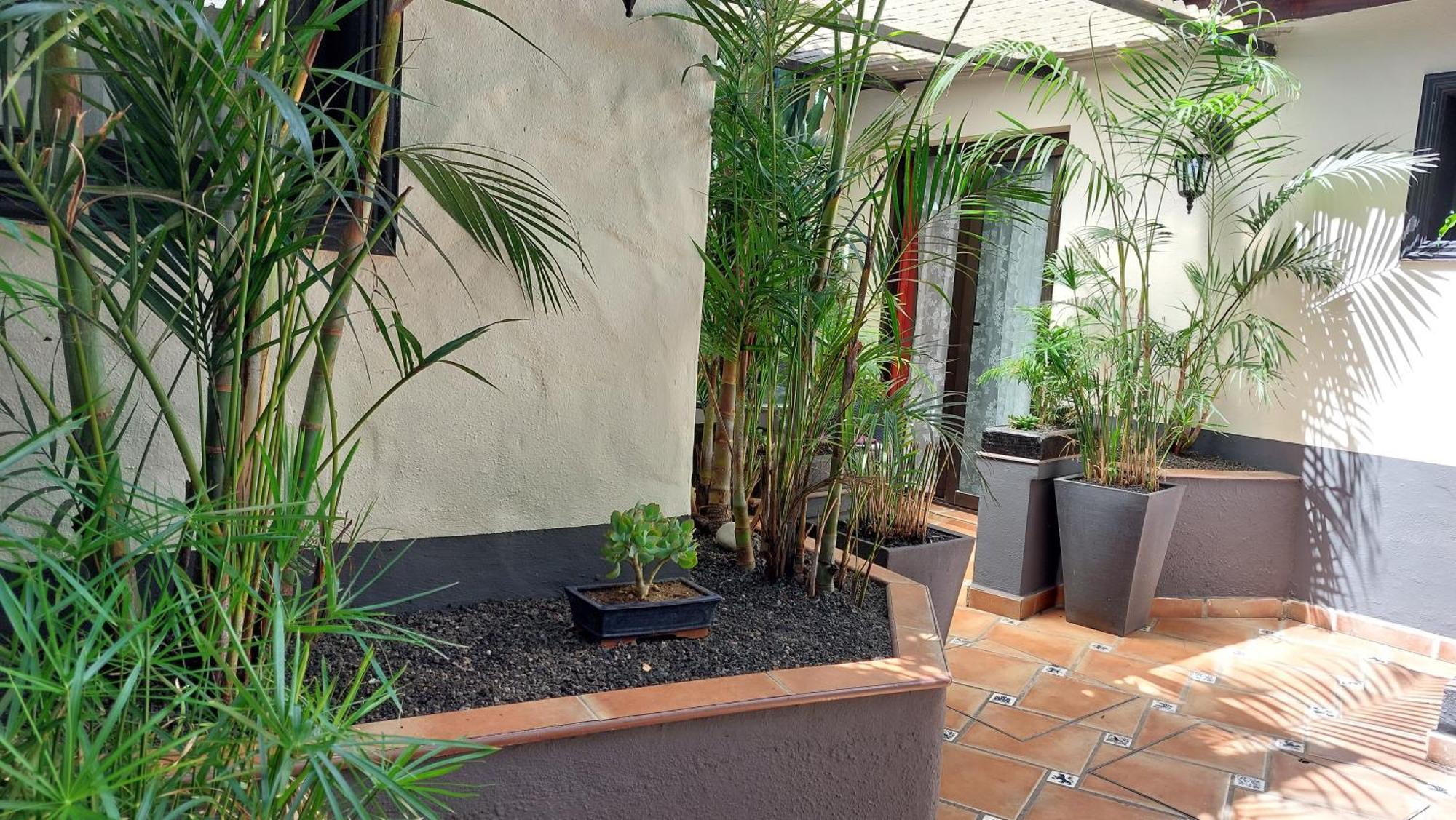 Apartamentos Monasterio De San Antonio - Adults Only Icod De Los Vinos Exterior foto