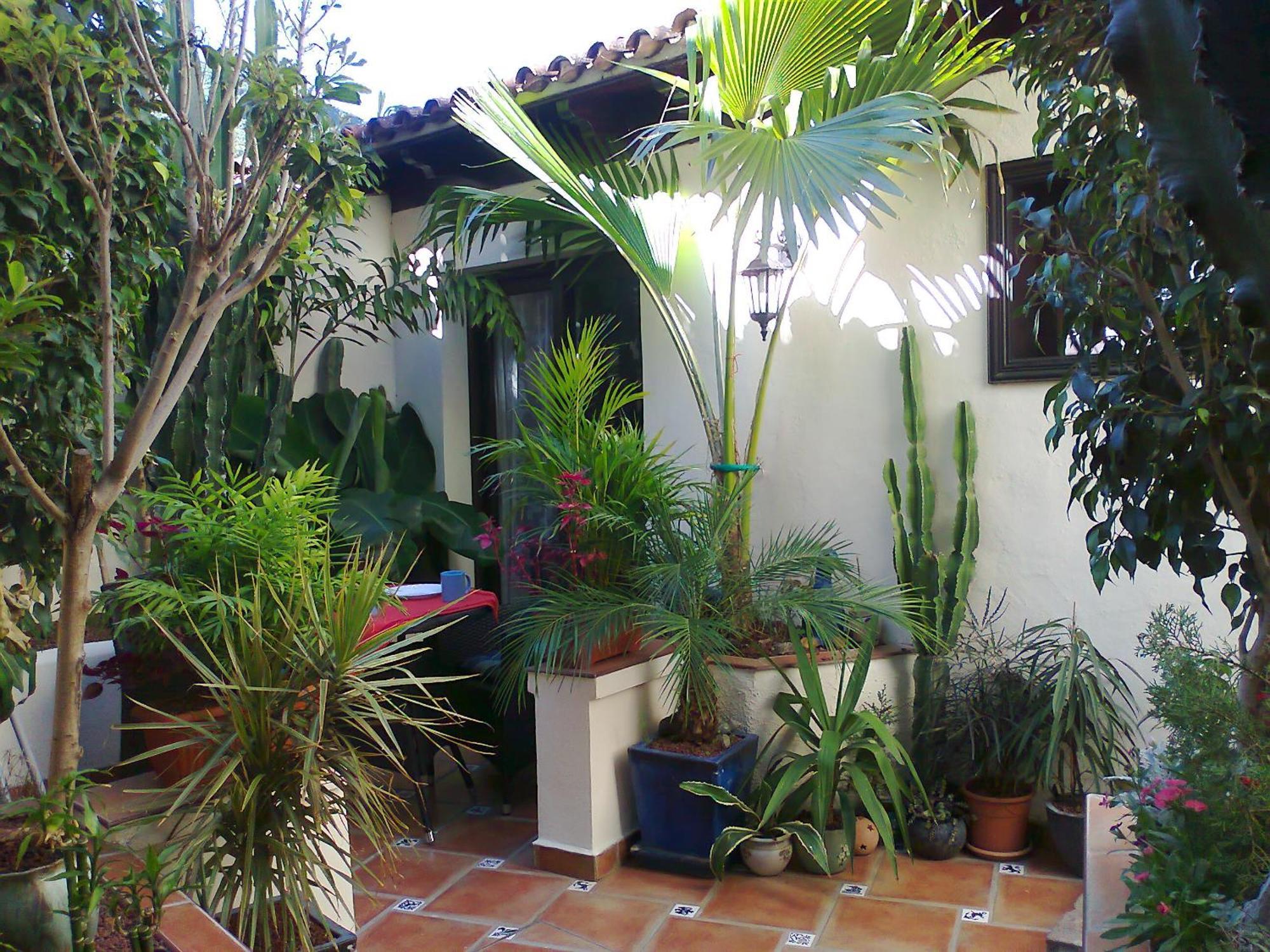Apartamentos Monasterio De San Antonio - Adults Only Icod De Los Vinos Cameră foto